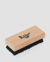 bristle shoe brush